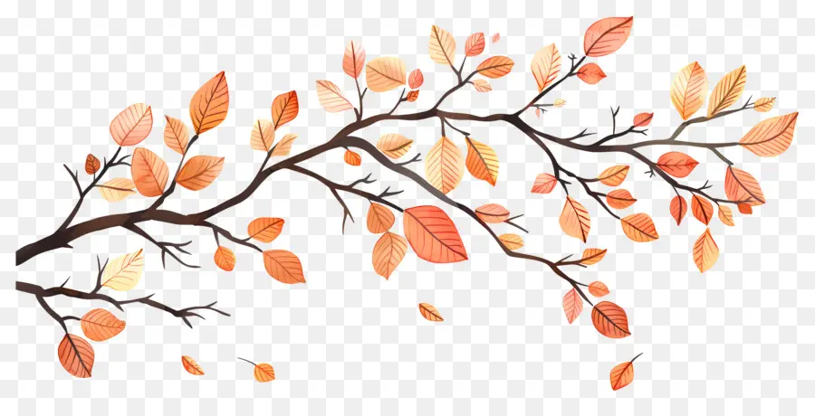 Branche D'automne，Glands Et Feuilles PNG