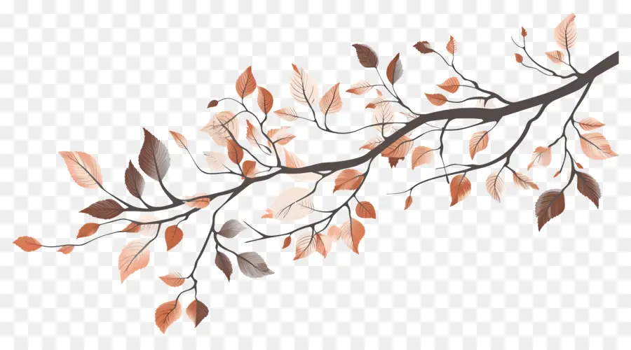 Branche D'automne，Feuilles D'automne PNG