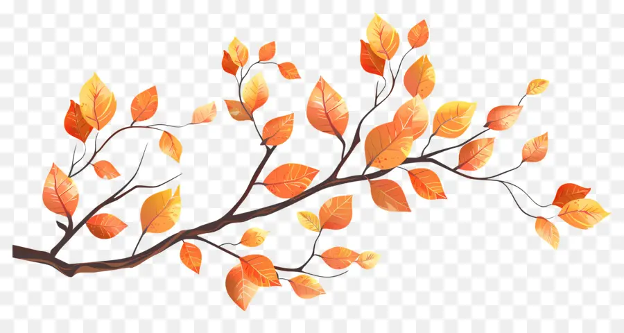 Branche D'automne，Glands Et Feuilles PNG