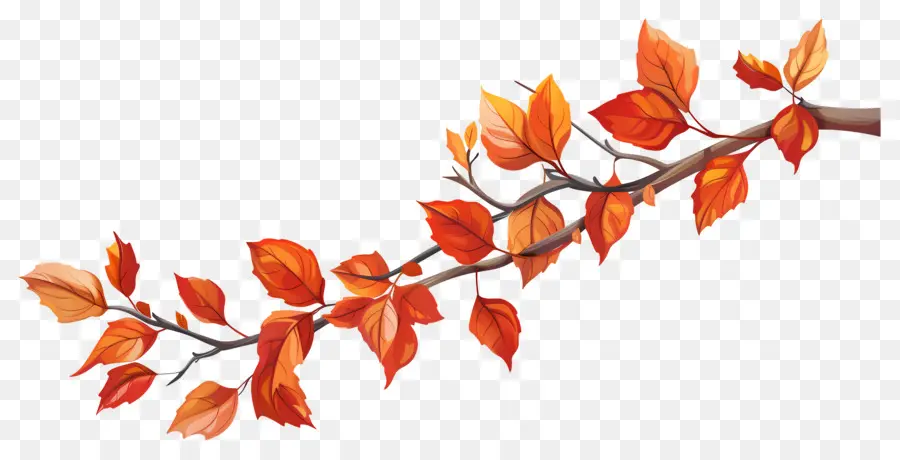 Branche D'automne，Glands Et Feuilles PNG