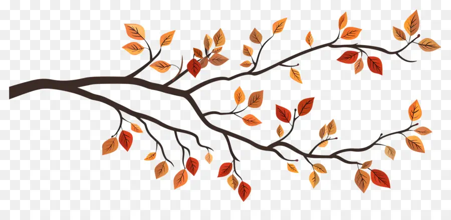 Branche D'automne，Glands Et Feuilles PNG