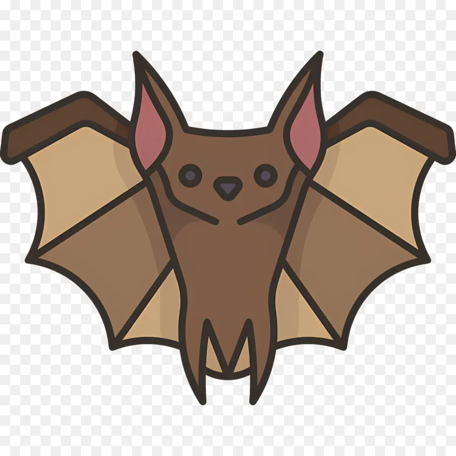 Chauve Souris D'halloween，Batte PNG