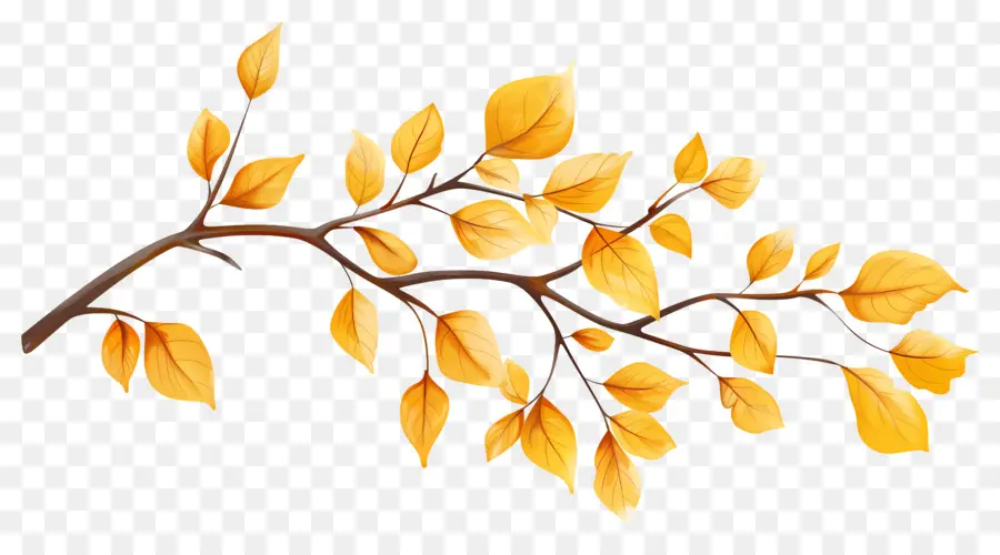 Branche D'automne，Feuilles Jaunes PNG