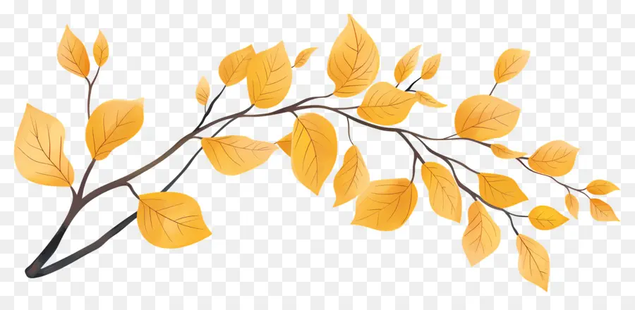 Branche D'automne，Glands Et Feuilles PNG