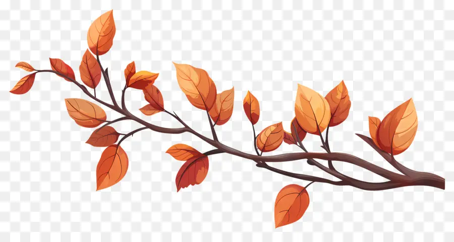 Branche D'automne，Glands Et Feuilles PNG