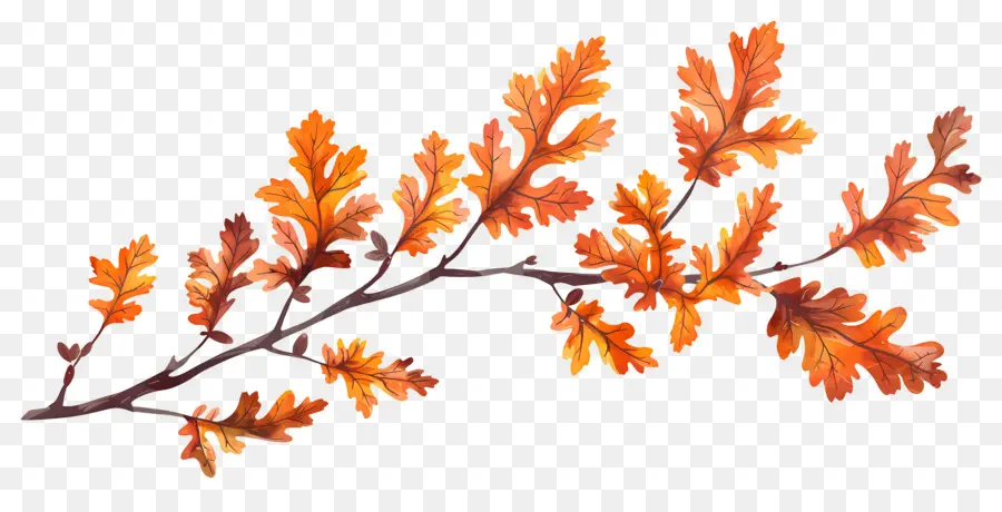 Branche D'automne，Glands Et Feuilles PNG