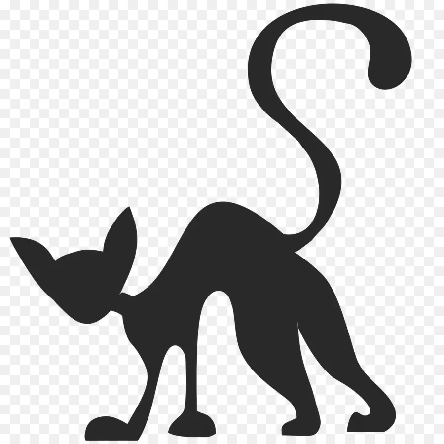 Chat D'halloween，Silhouette De Chat Noir PNG