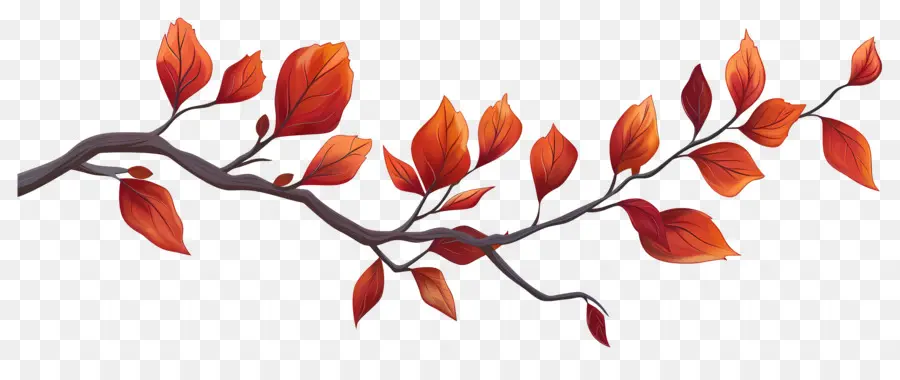 Branche D'automne，Glands Et Feuilles PNG