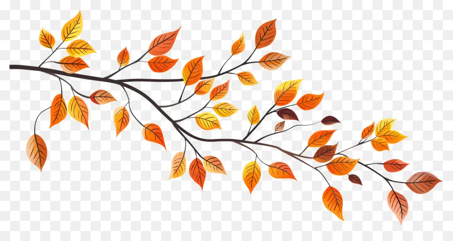 Branche D'automne，Feuilles D'automne PNG