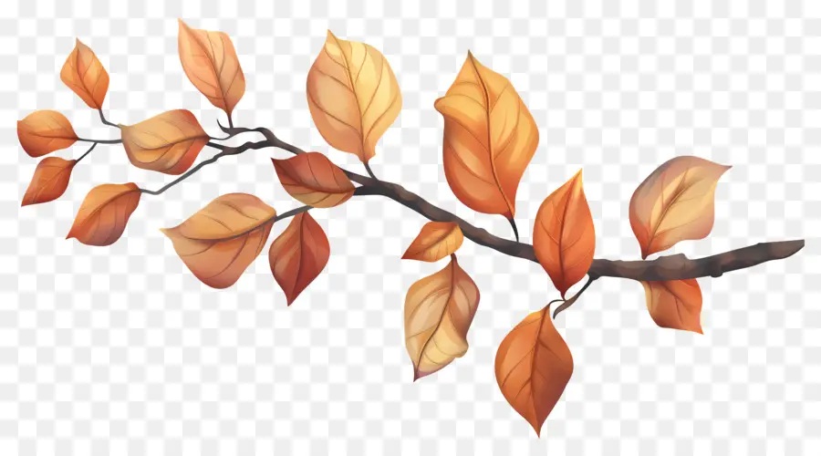 Branche D'automne，Glands Et Feuilles PNG