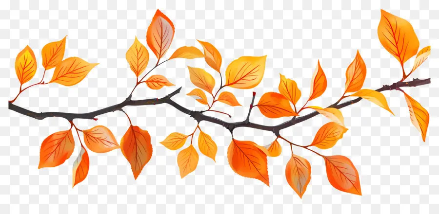 Branche D'automne，Glands Et Feuilles PNG