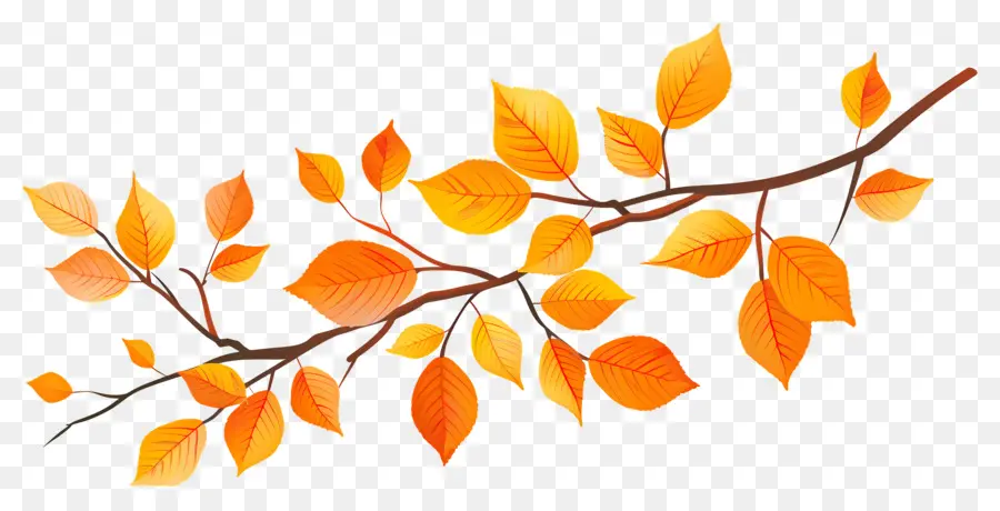 Branche D'automne，Glands Et Feuilles PNG