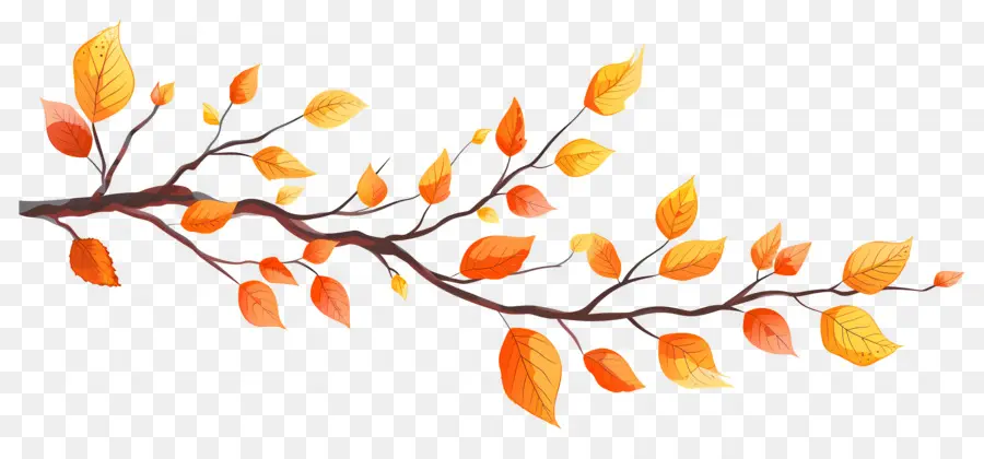 Branche D'automne，Glands Et Feuilles PNG