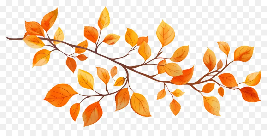 Branche D'automne，Glands Et Feuilles PNG