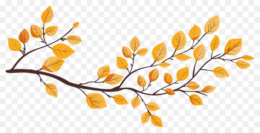 Branche D'automne，Glands Et Feuilles PNG