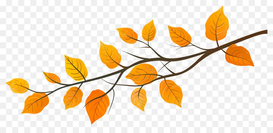 Branche D'automne，Glands Et Feuilles PNG