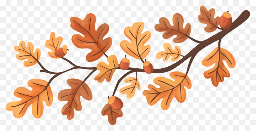 Branche D'automne，Glands Et Feuilles PNG