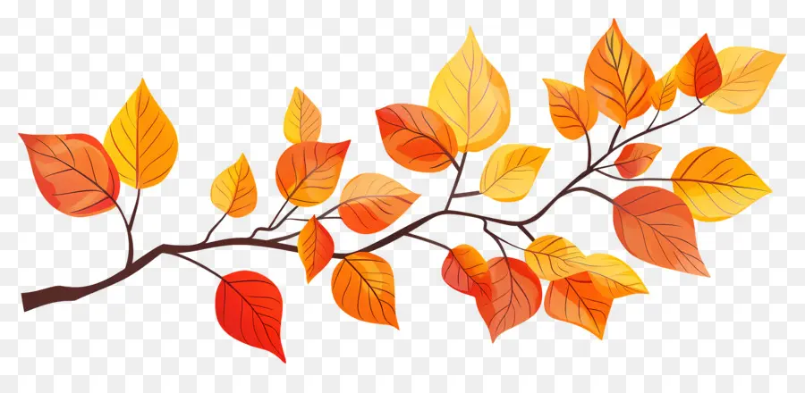 Branche D'automne，Glands Et Feuilles PNG