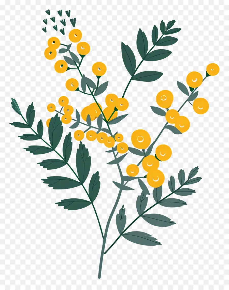 Petite Fleur，Fleurs Jaunes PNG