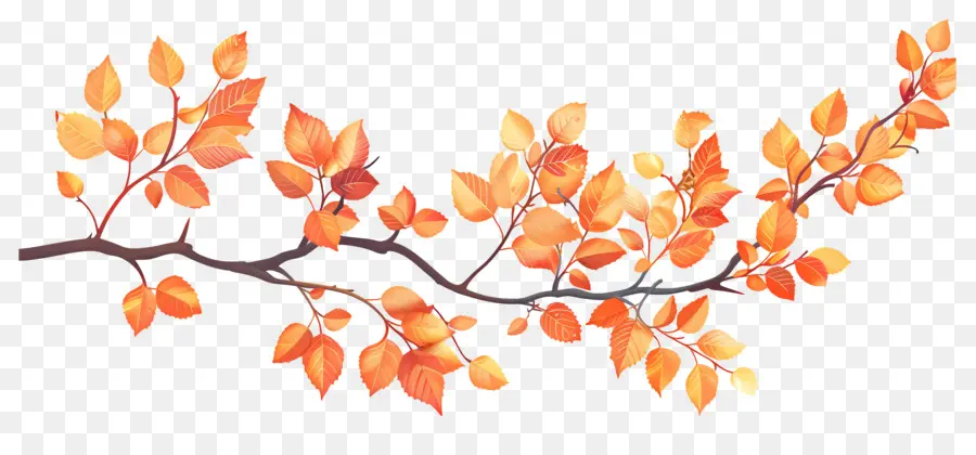 Branche D'automne，Glands Et Feuilles PNG