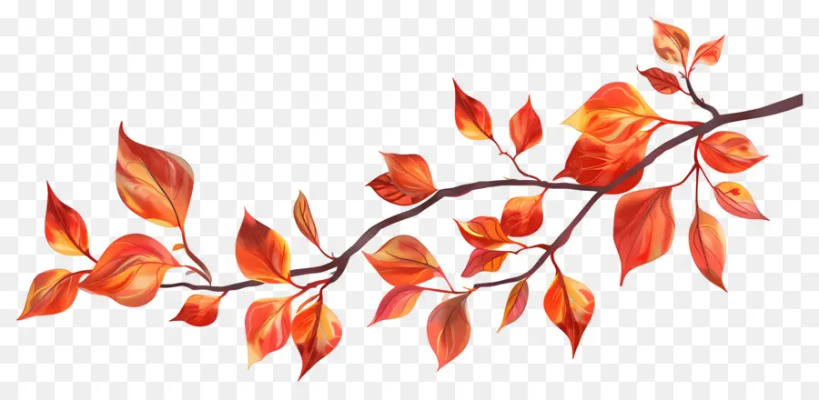 Branche D'automne，Glands Et Feuilles PNG