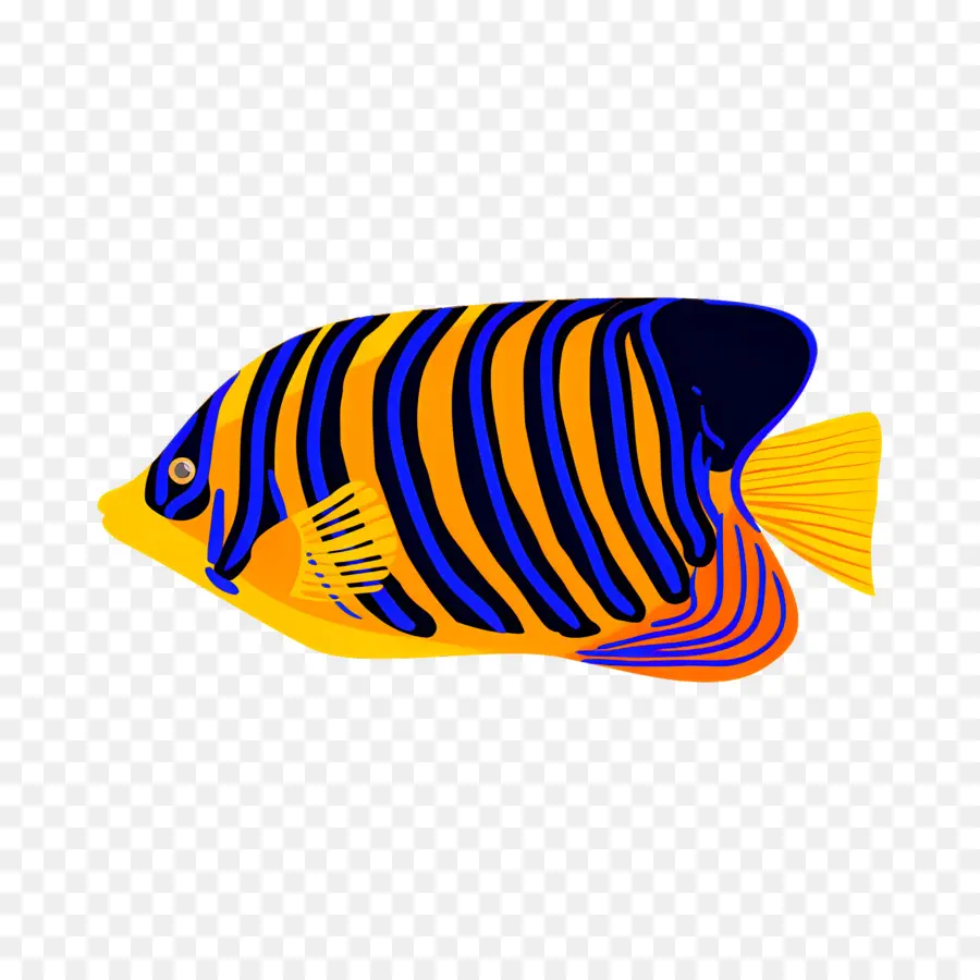 Poisson Tropical，Poisson Coloré PNG