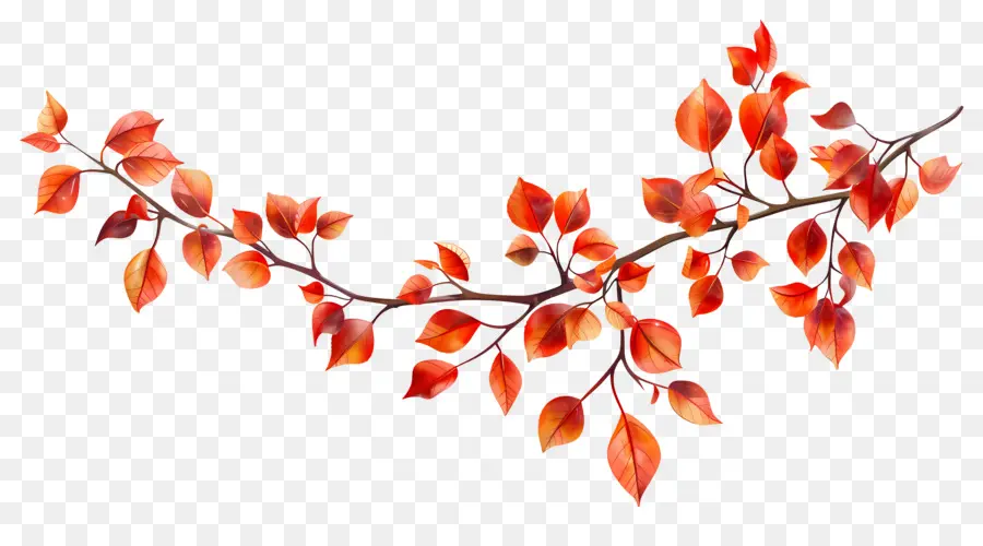 Branche D'automne，Glands Et Feuilles PNG