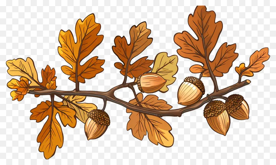 Branche D'automne，Glands Et Feuilles PNG