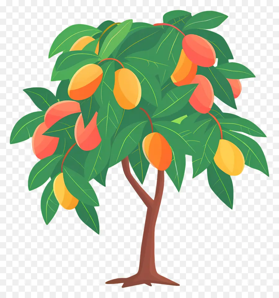 Manguier，Fruit PNG