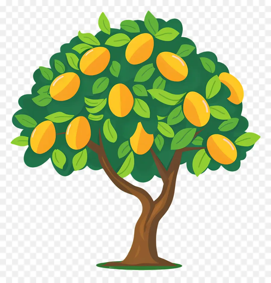 Manguier，Fruit PNG