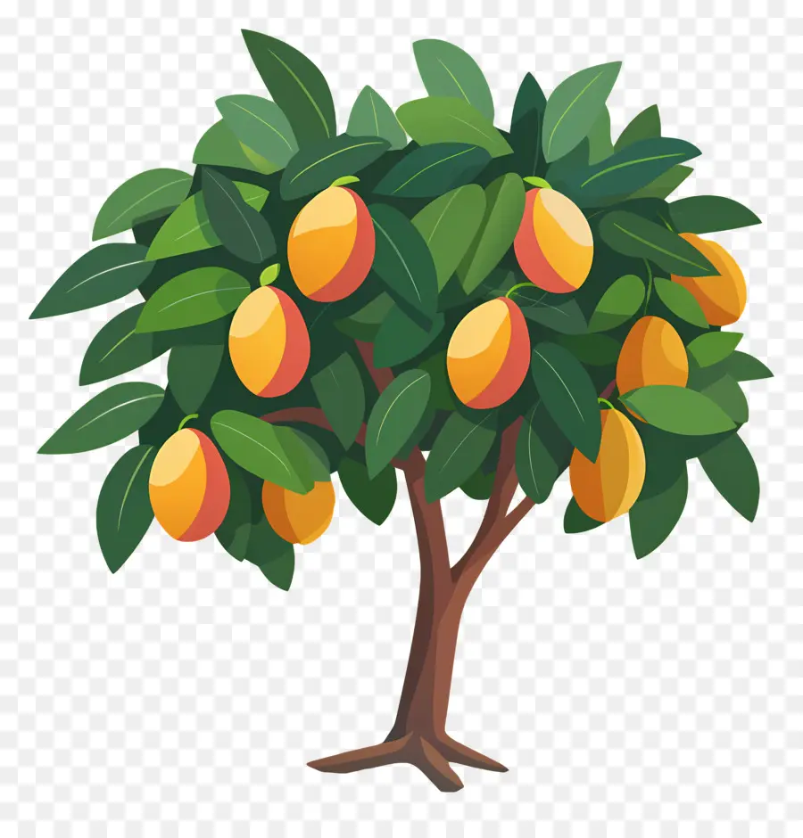 Manguier，Fruit PNG