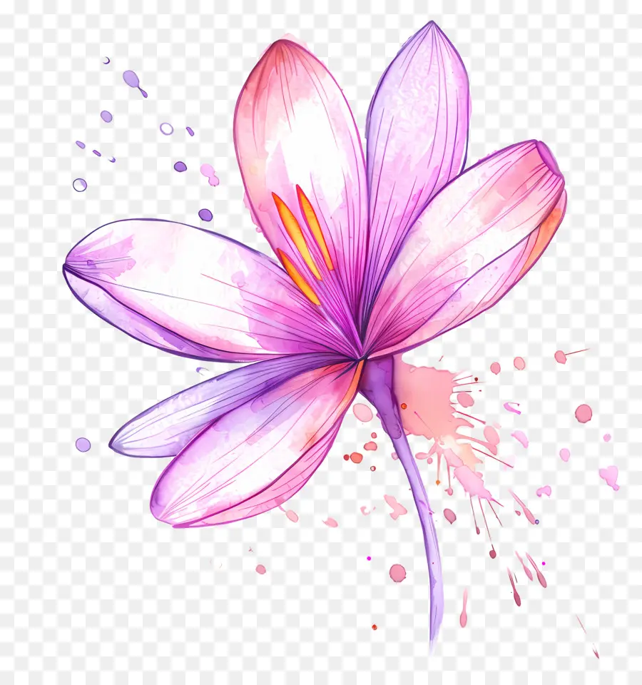 Fleur De Safran，Fleur Violette PNG