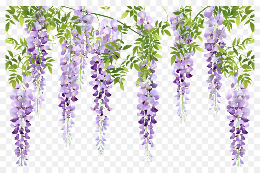 Fleurs Suspendues，Fleurs Violettes Suspendues PNG