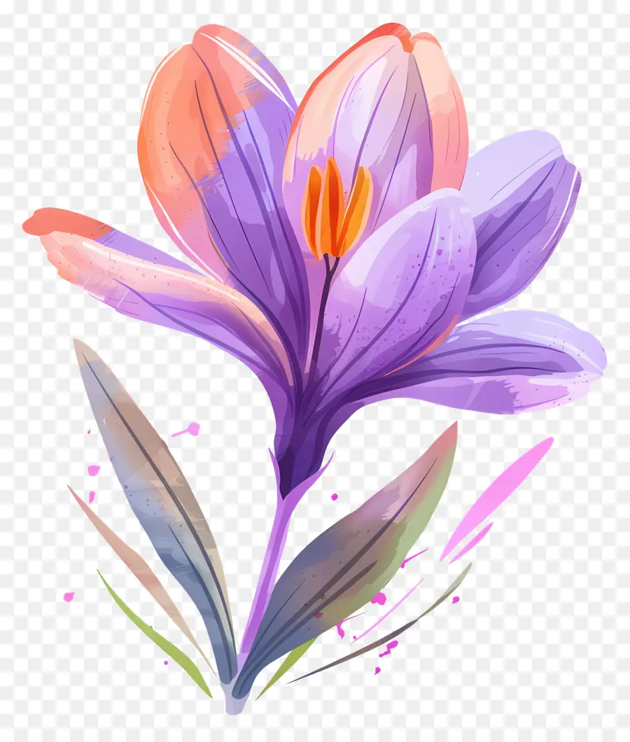 Fleur De Safran，Fleur Violette PNG