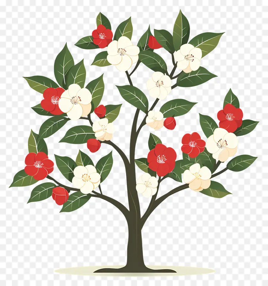 Arbre à Fleurs，Arbre à Fleurs Rouges Et Blanches PNG