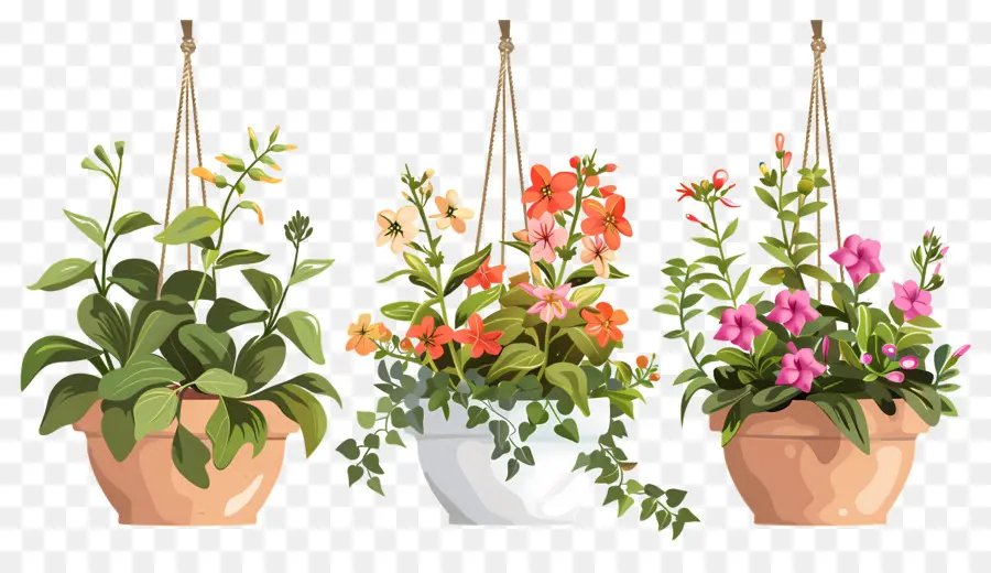 Fleurs Suspendues，Pots De Fleurs Suspendus PNG