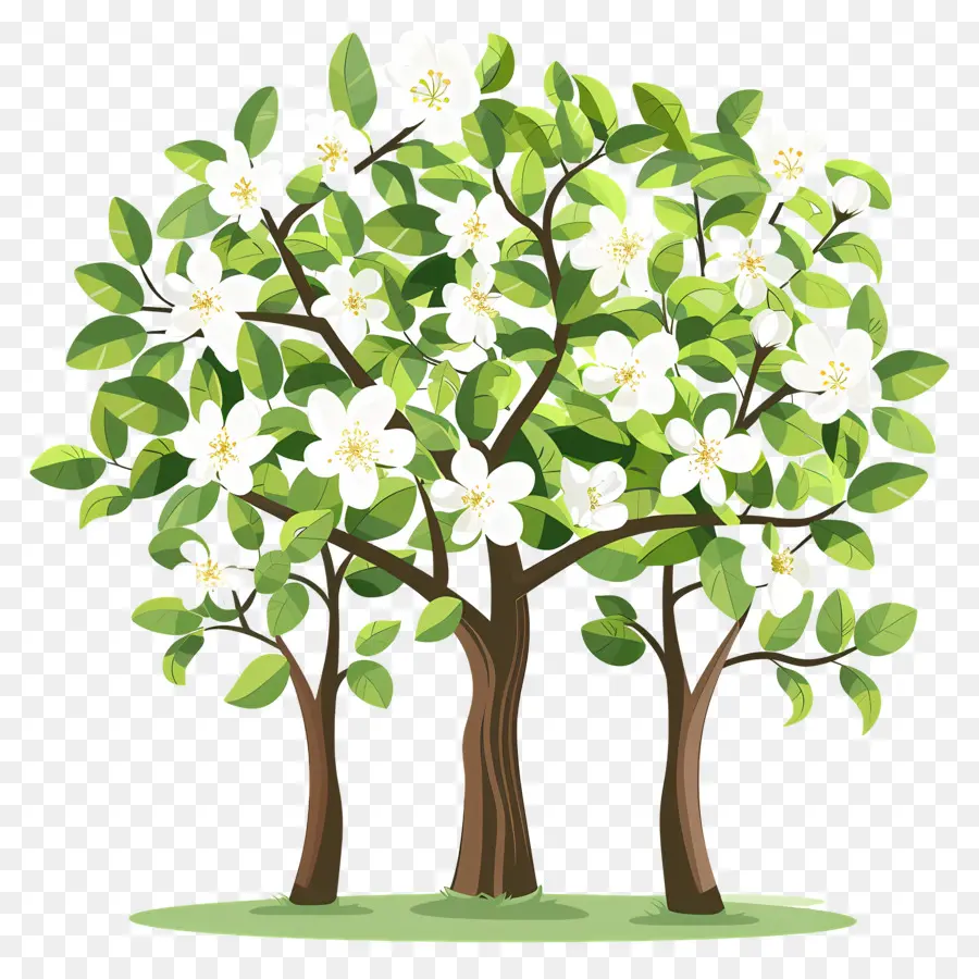 Arbre à Fleurs，Trois Arbres En Fleurs PNG