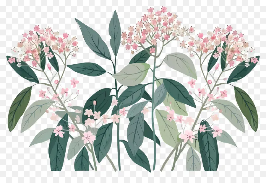 Petite Fleur，Fleurs Roses PNG