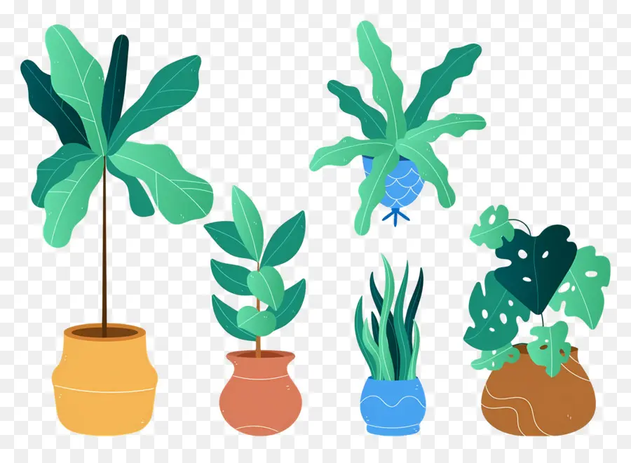 Fleurs En Pots，Plantes En Pot PNG