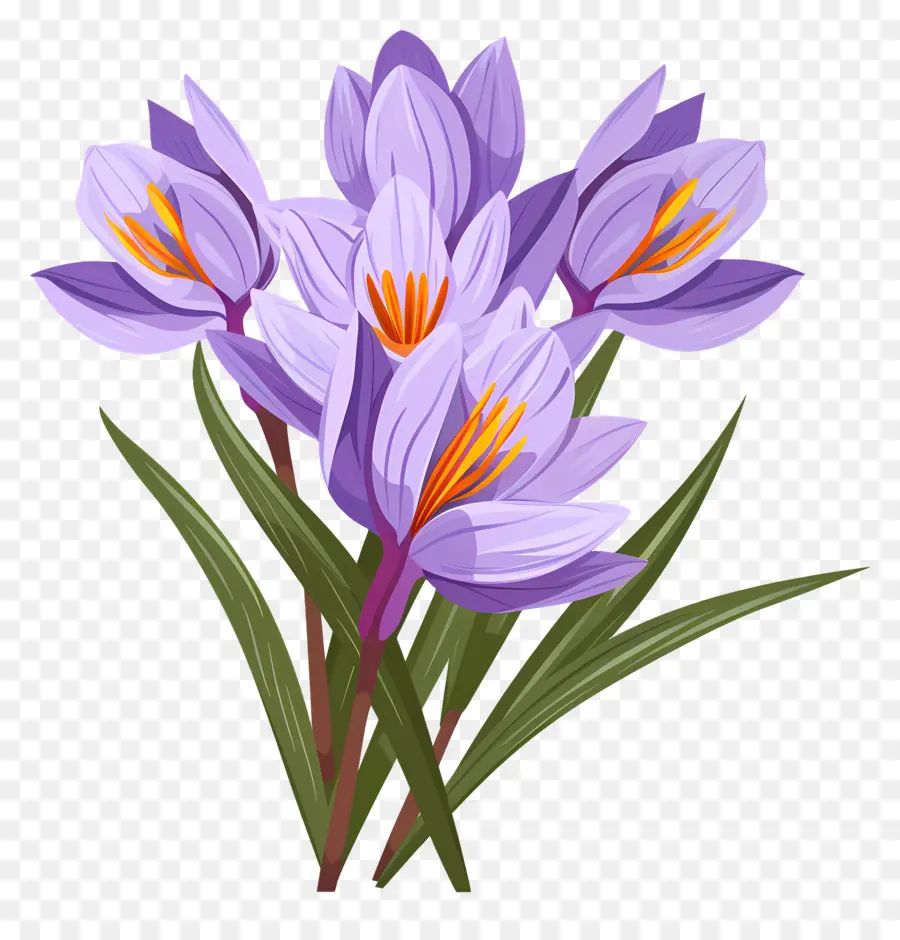 Fleurs De Safran，Fleurs Violettes PNG