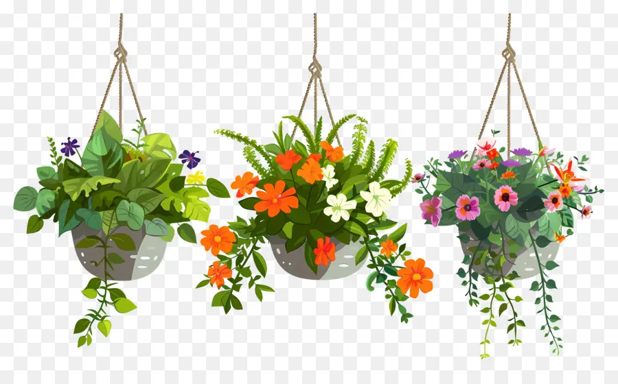 Fleurs Suspendues，Pots De Fleurs Suspendus PNG