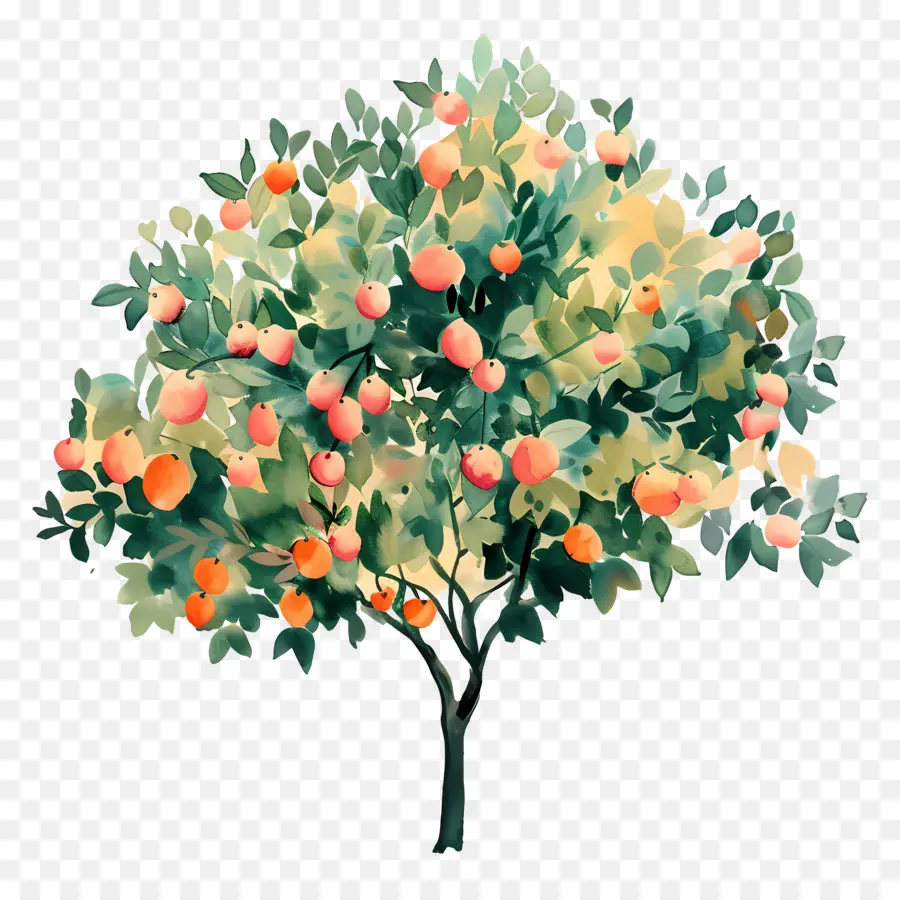 Manguier，Arbre Fruitier PNG