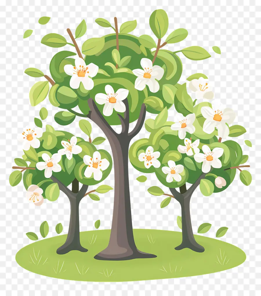 Arbre à Fleurs，Trois Arbres En Fleurs PNG