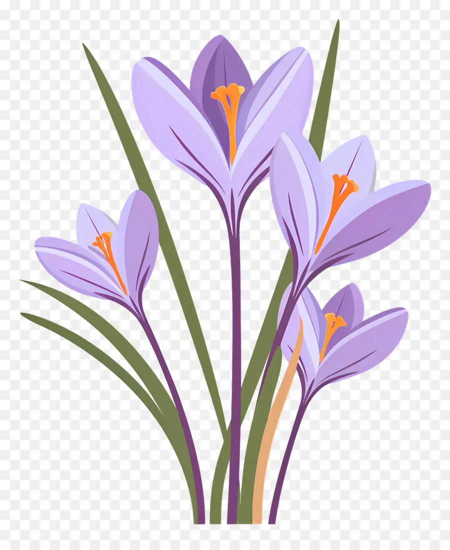 Fleurs De Safran，Fleurs Violettes PNG