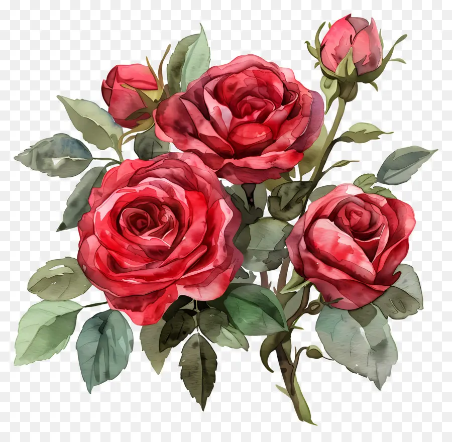 Fleur Rose，Roses Colorées PNG