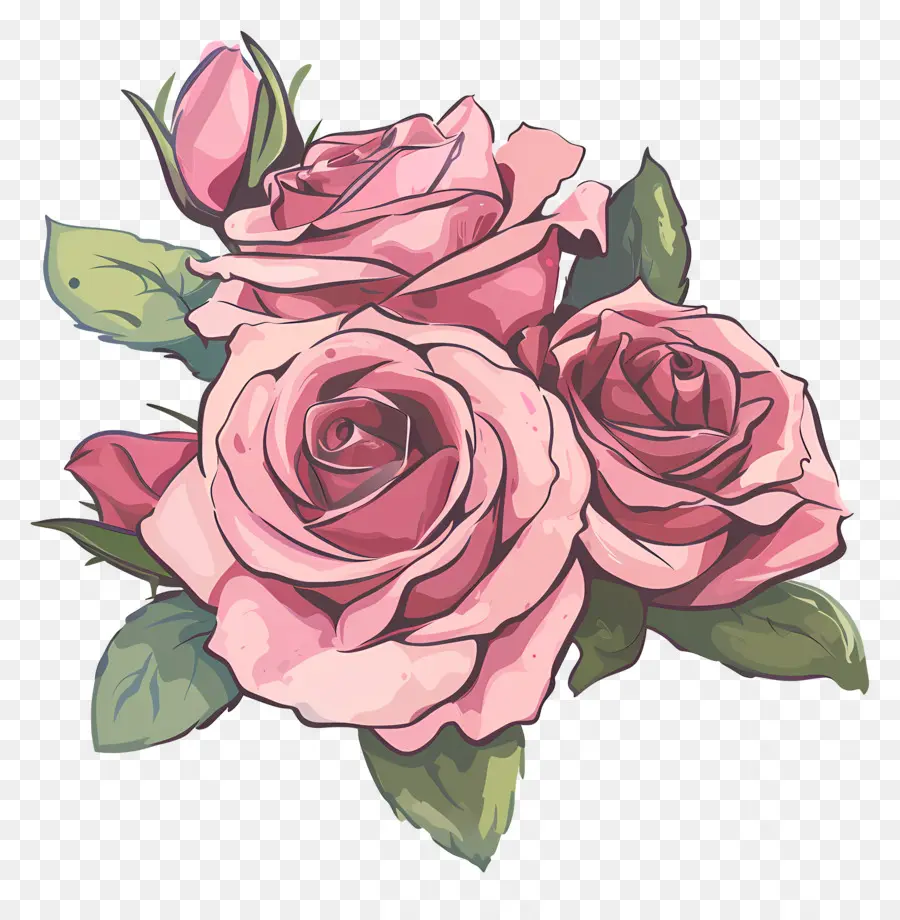 Fleur Rose，Roses Colorées PNG