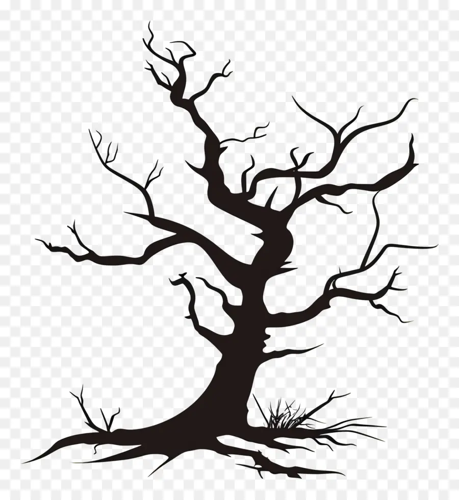 Arbre Mort，Arbre Tordu PNG