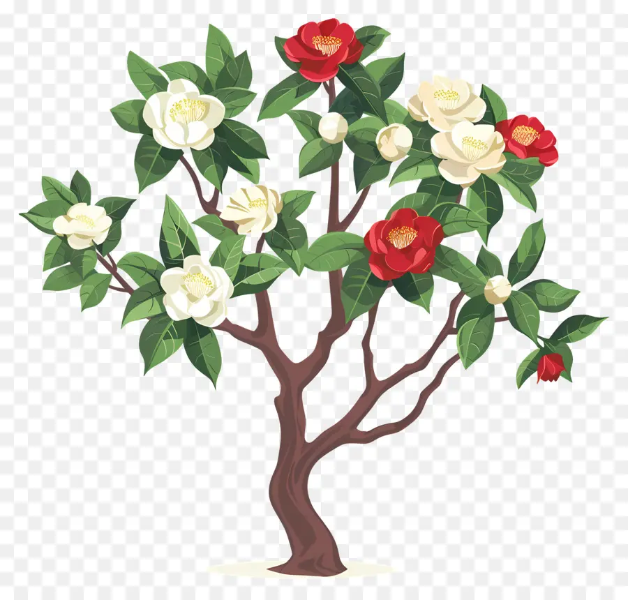 Arbre à Fleurs，Arbre à Fleurs Rouges Et Blanches PNG