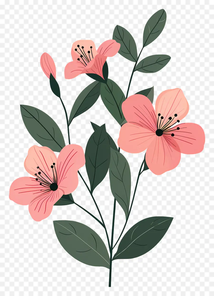 Fleurs Roses，Feuilles PNG