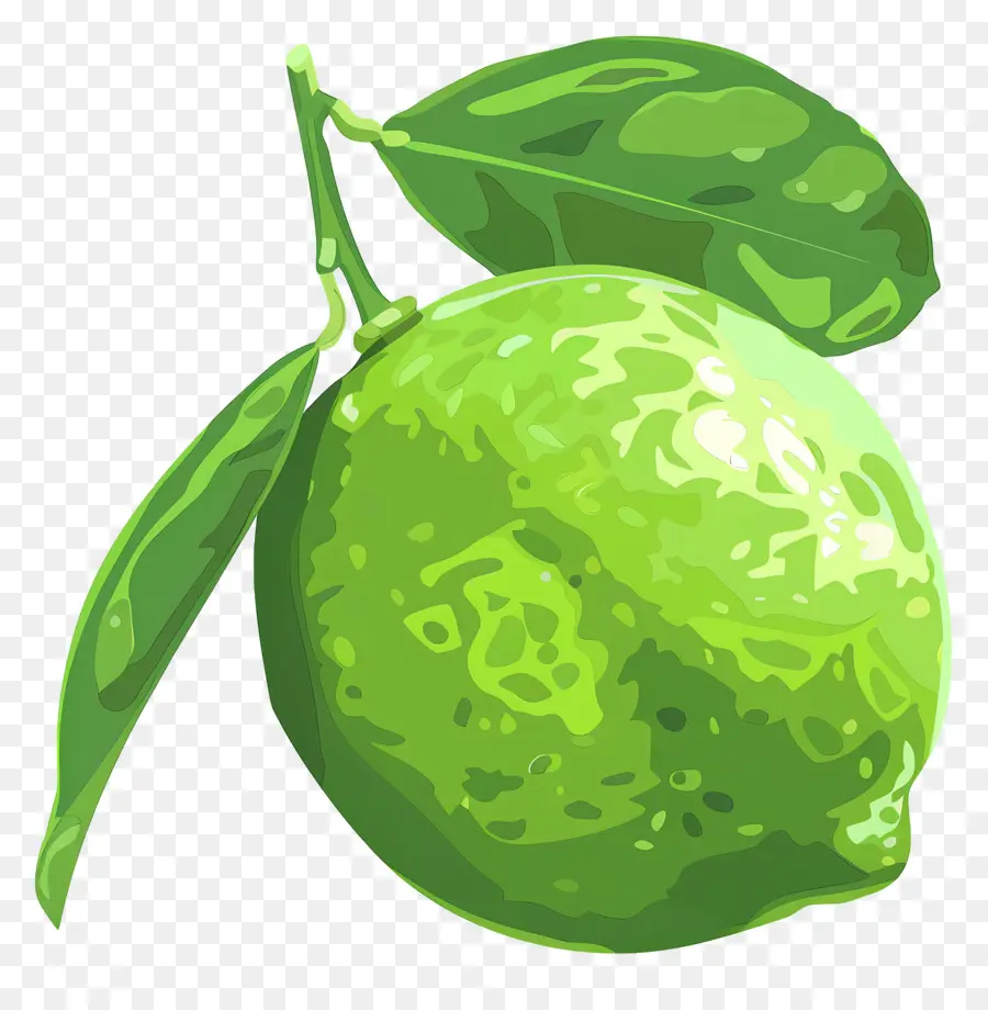 Citron Vert，Citrons Verts PNG